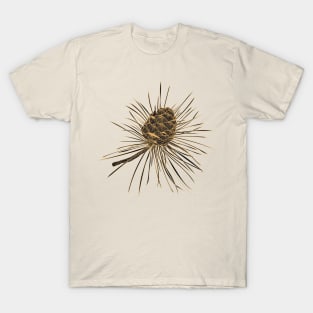 golden fir branch cone T-Shirt